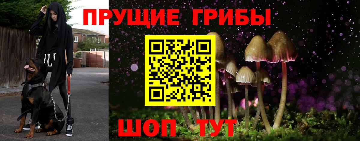 Томск  закладки  Галлюциногенные грибы мицелий  Вход с VPN  Галлюциногенные грибы прущие грибы 